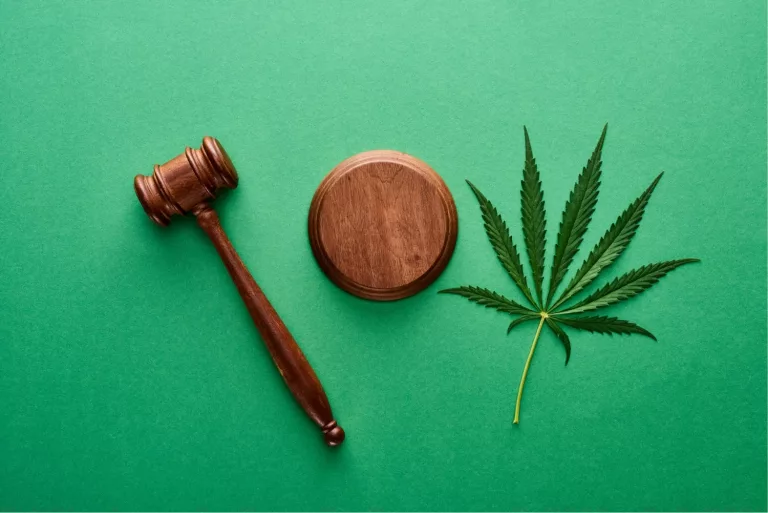 Medical Cannabis & Cannabinoid Regulation 2021