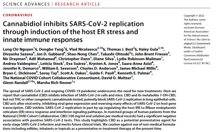 Analysis of the new publication regarding cannabis compound CBD stopping coronavirus.